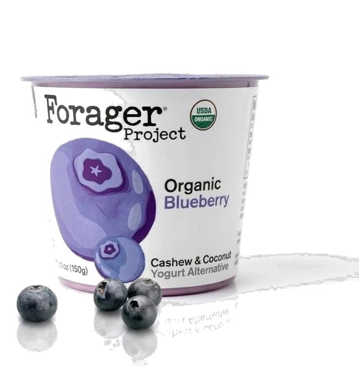Forager Project Organic Blueberry Cashew & Coconut Yogurt Alternative product shot