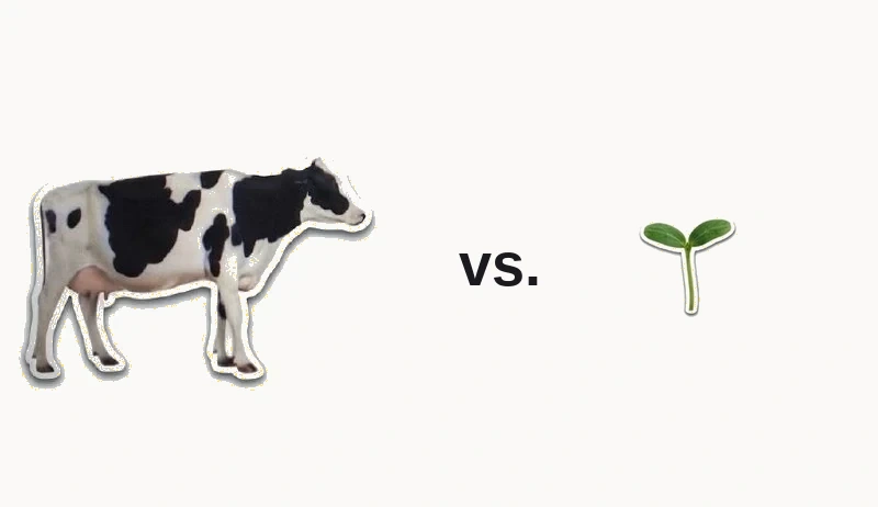 A cow versus a plant-based seedling with the word vs. between them, representing dairy yogurt compared to plant-based yogurt