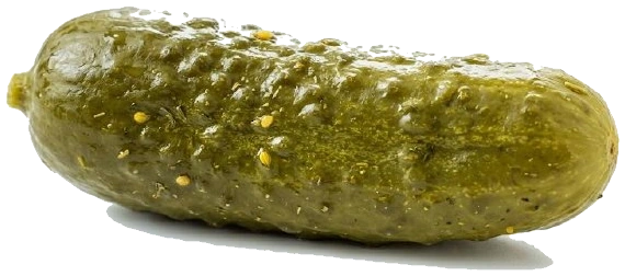 A whole green dill pickle with mustard seeds clinging to its bumpy skin