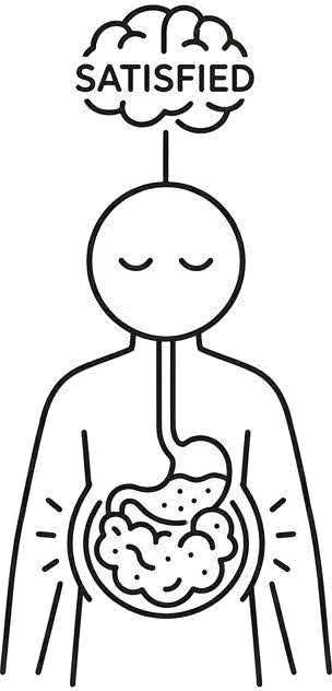 Illustration of the stomach and its stretch receptors